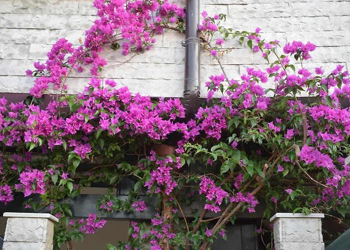 Appartamento Aquamarine 2, Vlorë