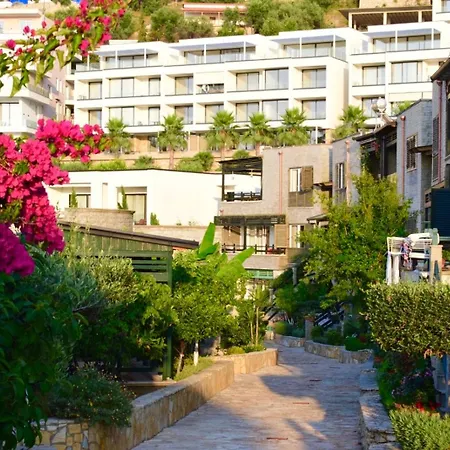 Aquamarine 2, Apartman