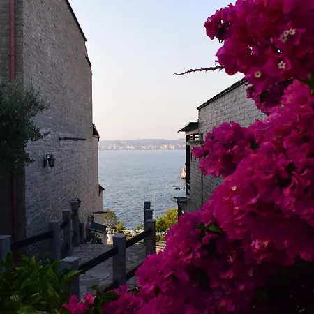 Aquamarine 2, * Vlore