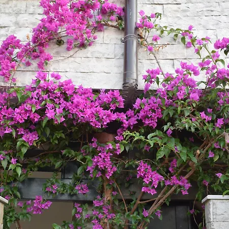 Apartment Aquamarine 2, Vlore